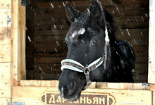 КСК "Эваз"
