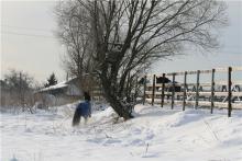 КСК "Эскадрон"